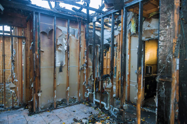 Professional Fire Damage Removal technician working in Millstone Township, NJ