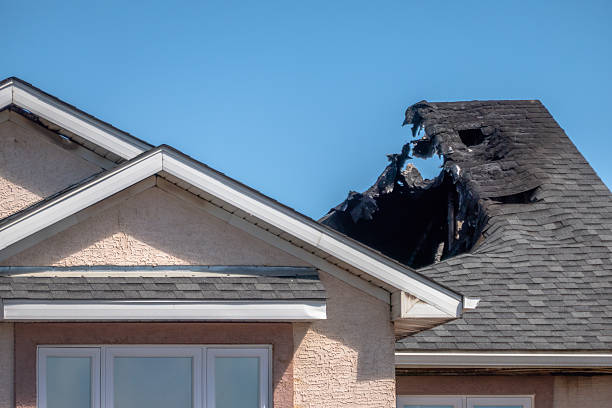 Top rated local Fire Damage Removal specialists in Millstone Township, NJ